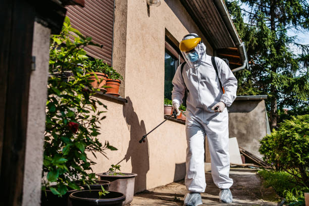 Best Local Pest Control Services  in Laurens, IA