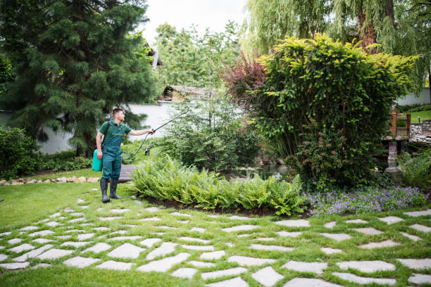Best Pest Inspection Near Me  in Laurens, IA