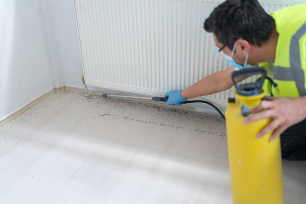 Best Affordable Pest Control Services  in Laurens, IA